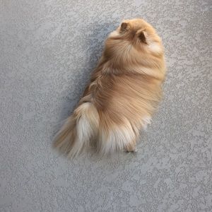 Meet your Posher, Laura